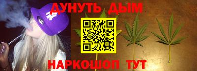 прущие грибы Обнинск
