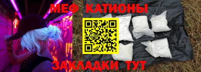 прущие грибы Обнинск