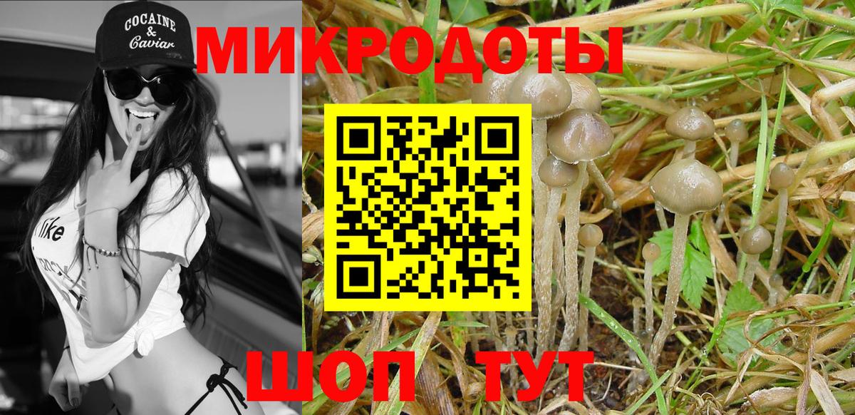 Галлюциногенные грибы мухоморы Светлоград