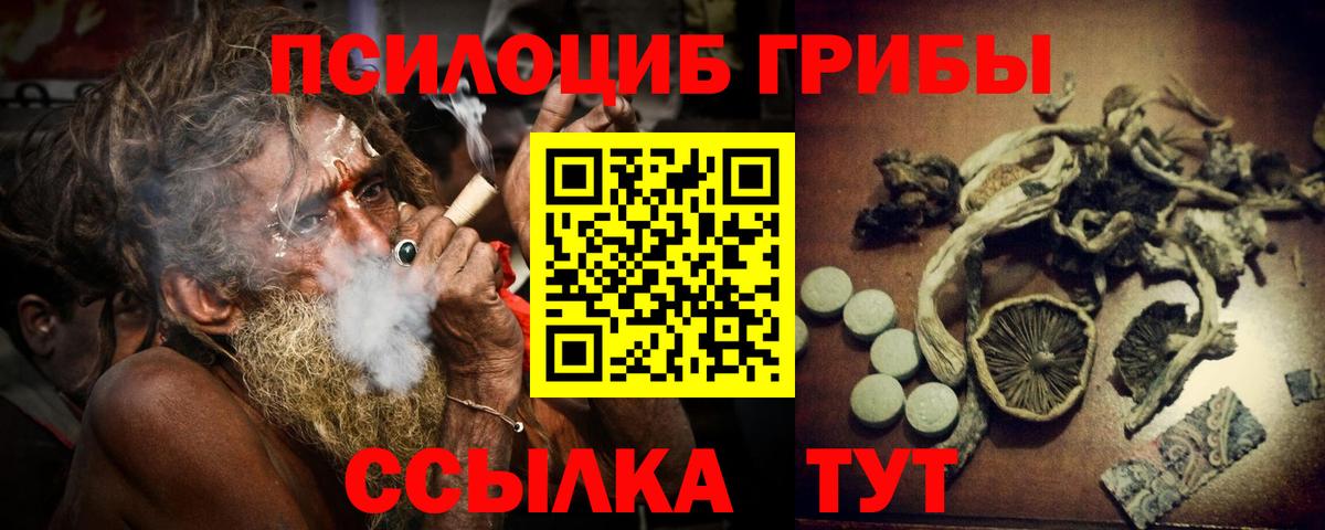 Псилоцибиновые грибы Magic Shrooms  Вход с VPN  Светлоград 