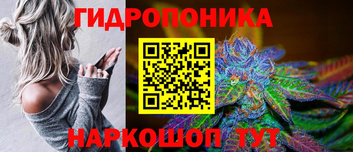 Марихуана сатива Светлоград