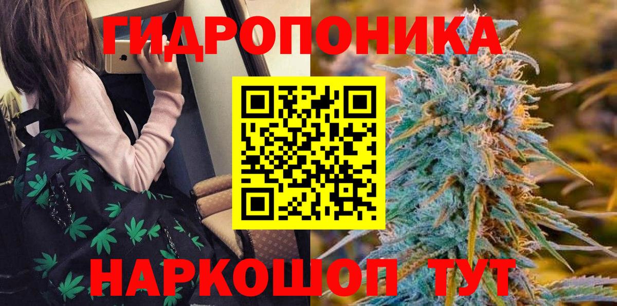 Бошки Шишки марихуана  Вход с VPN  Шишки марихуана Bruce Banner  Канабис ГИДРОПОН  Светлоград 